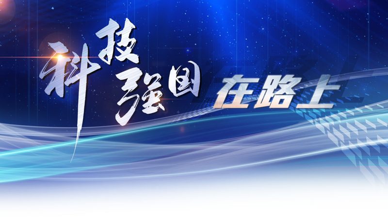 外贸独立站技术外包公司报价